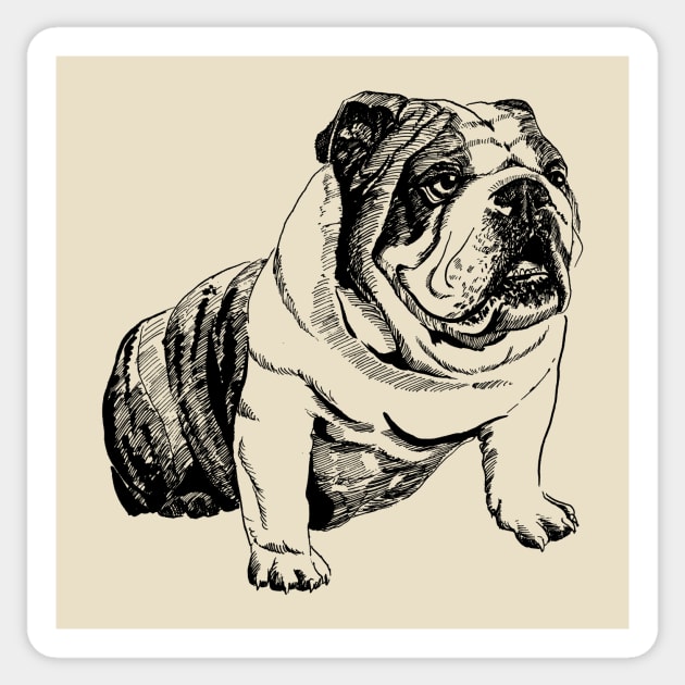 english bulldog Sticker by VicaVeresk